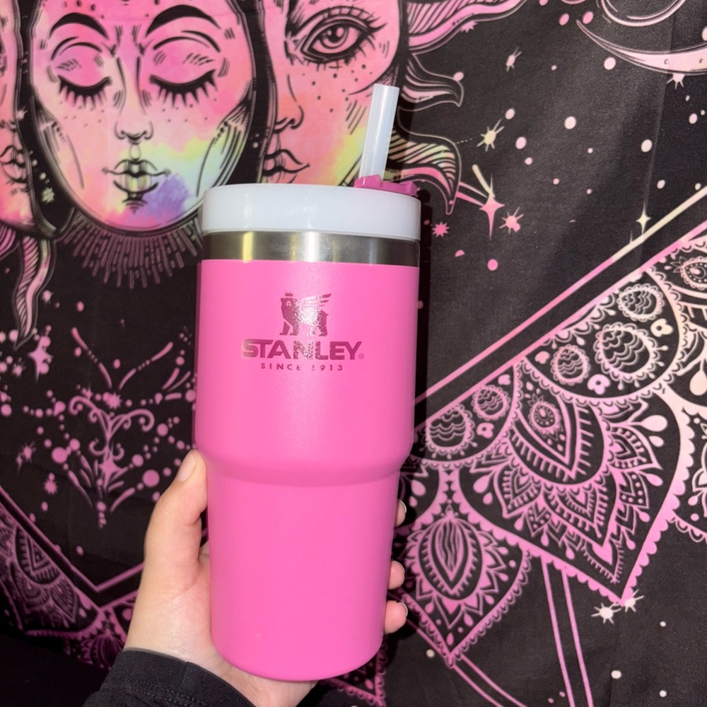 Pink 20oz Stanley